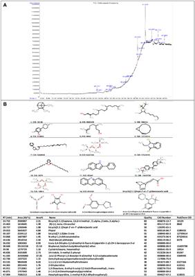 Synergistic effect of endurance training and nettle leaf extract on the IDO1-KYN-AHR pathway homeostasis and inhibiting of liver toxicity in rats with STZ-induced diabetes